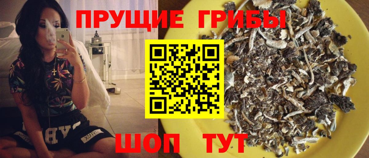 Псилоцибиновые грибы Cubensis  Вход с VPN  где продают   Нягань 